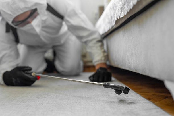 Professional Bed Bug Control technician working in Marion County County, MO